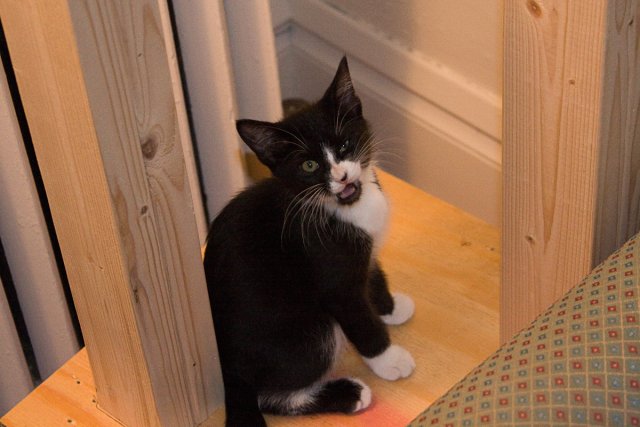 Misha_2008-07-07_0004